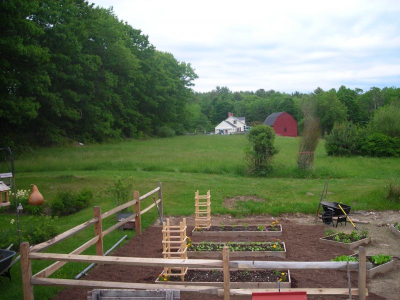 Yard Landscaping Pictures & Ideas: Southwell Potager